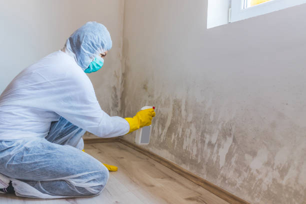Licensed Mold Remediation service in Leander, TX - 24 Hour Mold Removal
