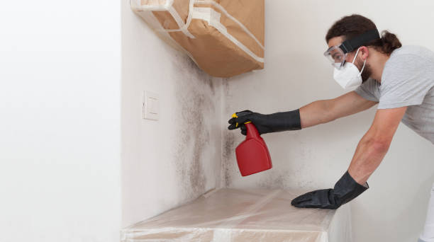 Professional Mold Remediation technician working in Leander, TX