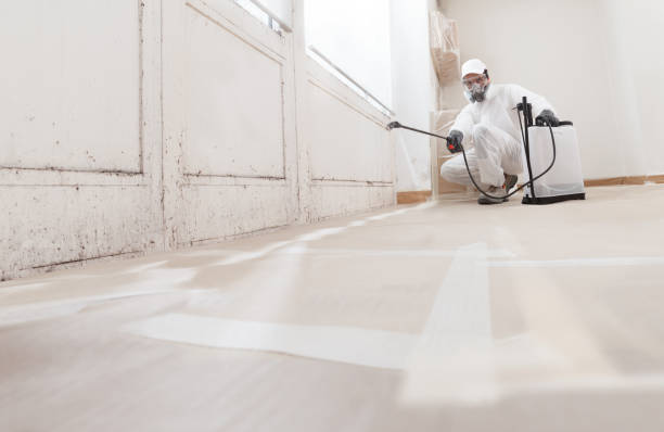 24/7 Emergency Mold Remediation experts in Leander, TX