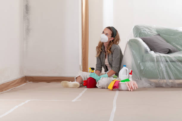Reliable Mold Remediation contractor in Leander, TX by 24 Hour Mold Removal